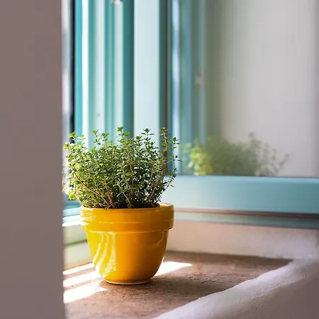 빌라 The Architect's House, 3br In Naxos Ano Potamia