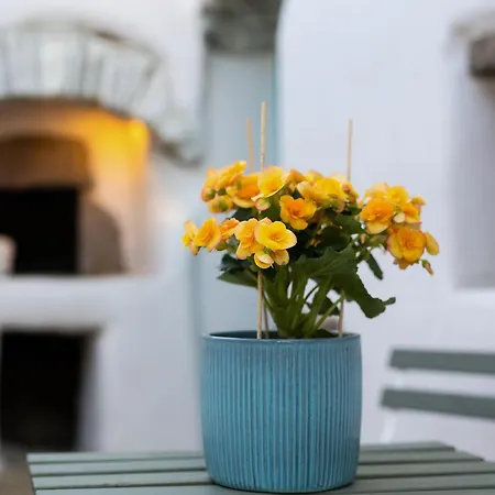 The Architect's House, 3br In Naxos