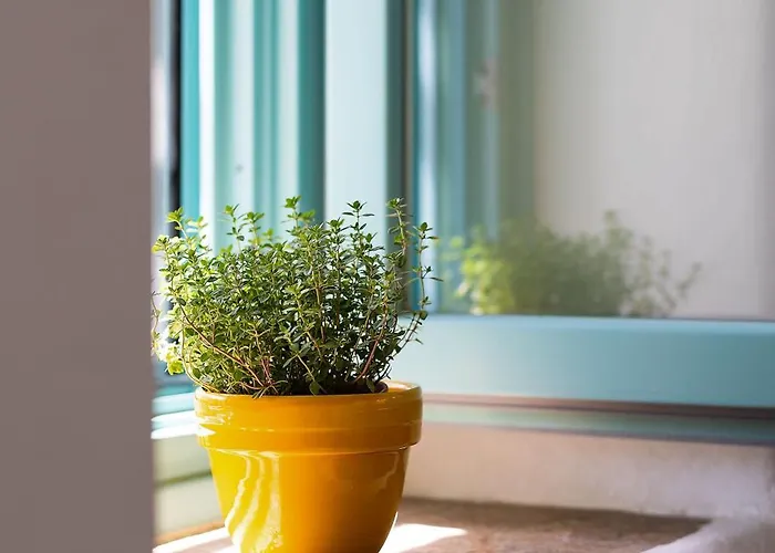 Βίλα The Architect's House, 3br In Naxos Ano Potamia